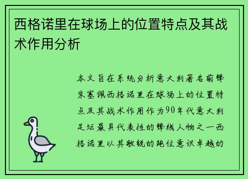 西格诺里在球场上的位置特点及其战术作用分析
