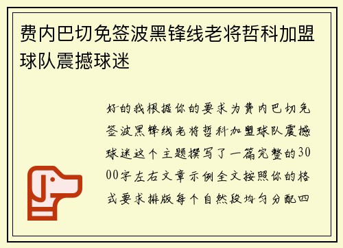 费内巴切免签波黑锋线老将哲科加盟球队震撼球迷